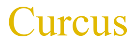 logo curcus
